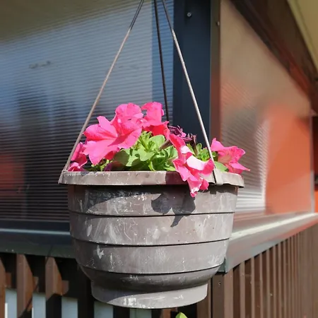 Lausitzer Ferienapartment Stube *